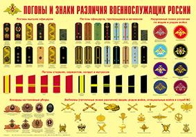Погоны и знаки различия военнослужащих России (А-2 60х40)лам.