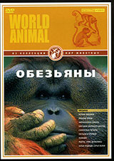 DVD Мир животных. Обезьяны (макаки, обитающие в Японских альпах, гиббоны)