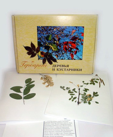 Гербарий "Деревьев и кустарников" Гербарий "Деревьев и кустарников"