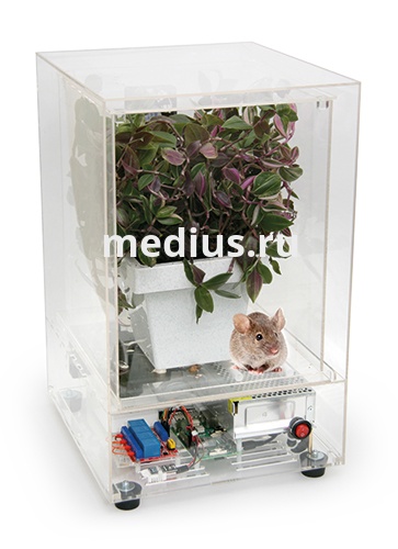 Компьютеризированный лабораторный комплекс, для форсированного  (в течение одного урока)  измерения характеристик  дыхательного газообмена у растений и животных