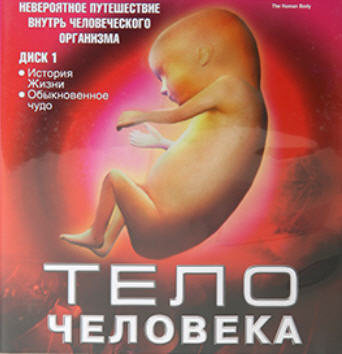 DVD Тело человека 1 DVD Тело человека 1