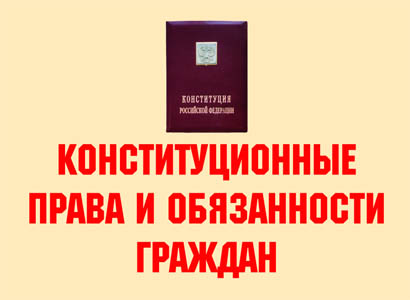 Конституционные права и обязанности граждан - 11 пл., А3