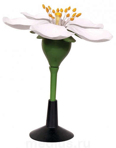 Д08 Модель цветка яблони (34х29х29 см/ 0,29 кг)