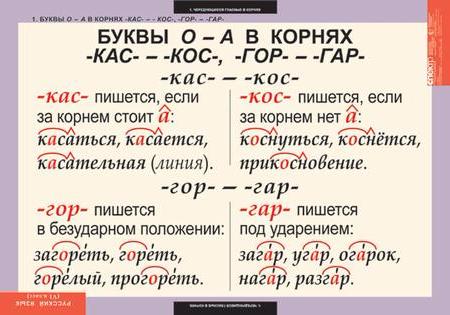 Русский язык 6 класс (7 таблиц)
