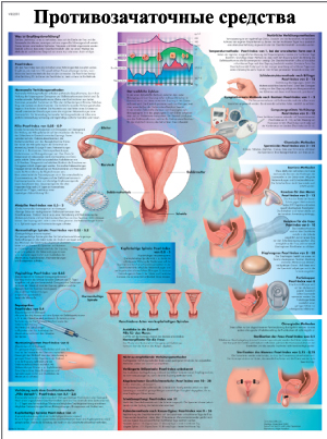 ZVR6591L Противозачаточные средства ZVR6591L Противозачаточные средства
