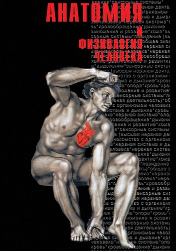 DVD Анатомия -1