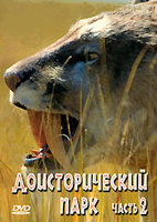 DVD �������������� ����. ����� 2