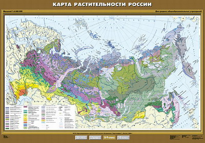 Карта растительности России, 100х140