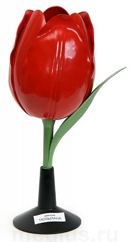 Д07 Модель цветка тюльпана 