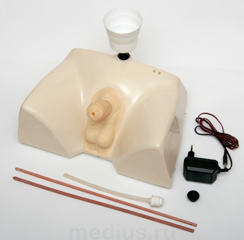 Т6 Тренажер для катетеризации мочевого пузыря (мужской)