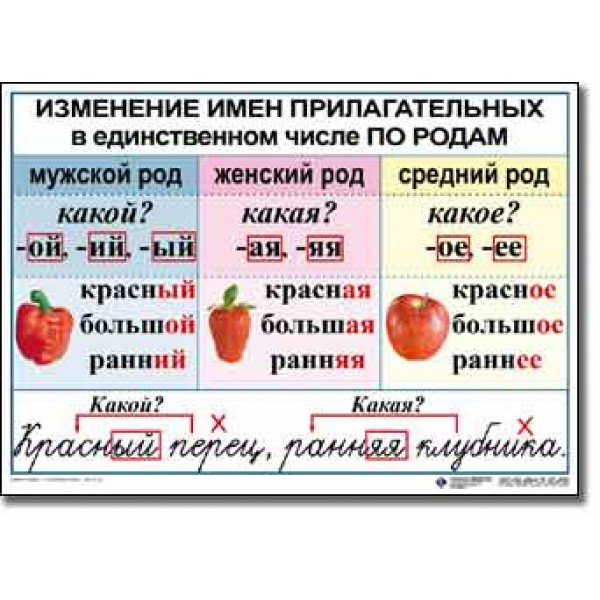 Карточки по русскому языку число имен прилагательных. Прилагательное наглядные пособия. Род имен прилагательных таблица. Род имён прилагательных. Изменение имён прилагательных по родам.. Изменение имён существительнвх по родам.