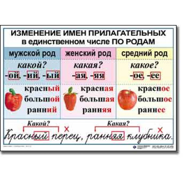 Обобщение по теме имя прилагательное 3 класс. Прилагательное наглядные пособия. Род имен прилагательных таблица. Род имён прилагательных. Изменение имён прилагательных по родам.. Изменение имён существительнвх по родам.