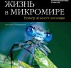 DVD Жизнь в микромире