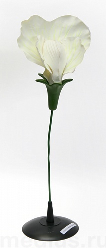 Демонстрационная модель из пластика "Цветок гороха"