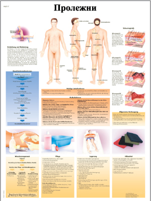 ZVR6717L Пролежни ZVR6717L Пролежни