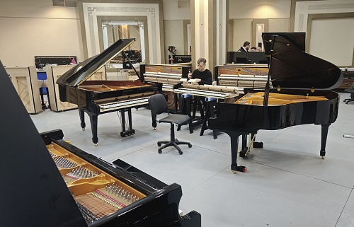 Производство пианино Амедеус Производство пианино Амедеус