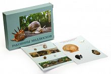 ��������� "��������  ���������"