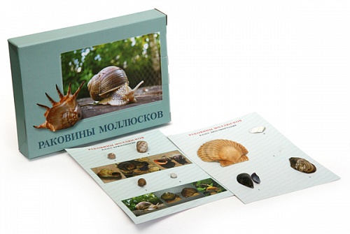 ��������� "��������  ���������"