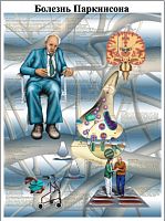 ZVR6629L ������� ����������