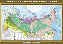 Природные зоны и биологические ресурсы России, 100х140 см