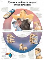 ZVR6761L ������ ���������-���������� ������� ������ ������������