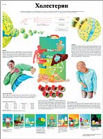 ZVR6452L ����������