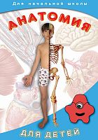 Анатомия для детей. Фильм на DVD