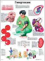 ZVR6361L �����������