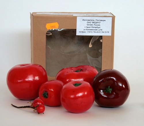 Демонстрационный набор муляжей "Дикая форма и культурные сорта томатов" из пластика