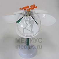 ������ ������ ������