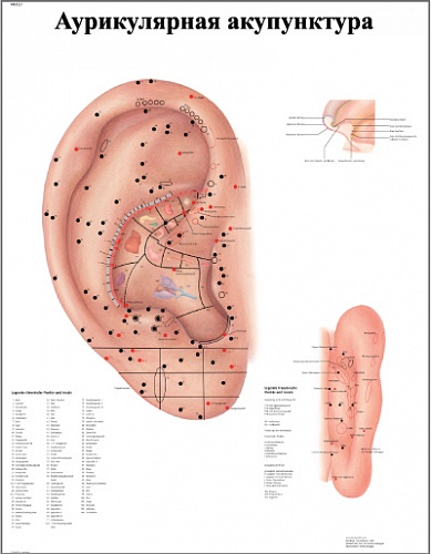 ZVR6821L ������������ �����������
