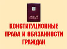 Конституционные права и обязанности граждан - 11 пл., А3