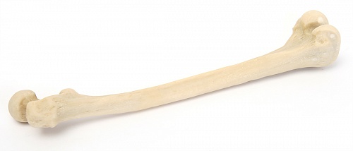 �36 �� ����� ��������� ����� (���������������� ������)