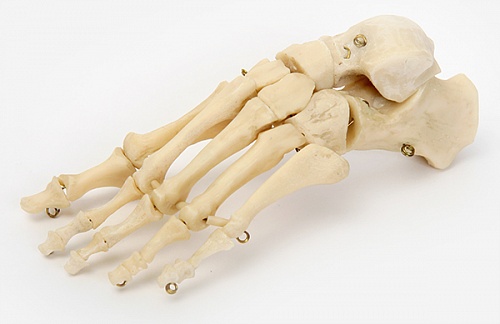 �29 �� ������ ����� ����� (���������������� ������)