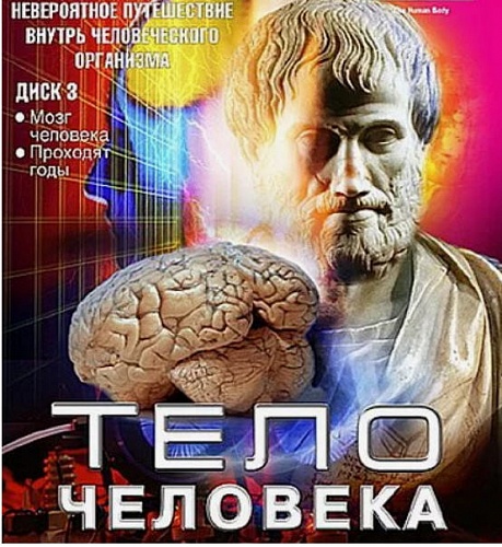 DVD ���� �������� 3