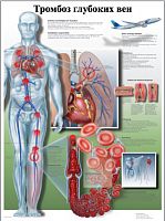 ZVR6368L ������� �������� ���