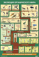 "Эволюция органического мира" (100х70) Таблица винил
