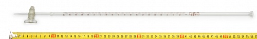  10  ( )