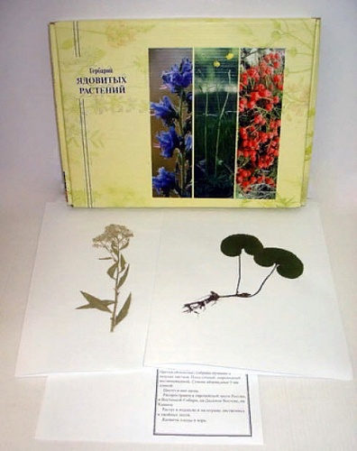 Гербарий "Ядовитые растения" Гербарий "Ядовитые растения"