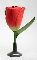 Демонстрационная модель из пластика "Цветок тюльпана "