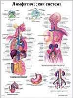ZVR6392L ������������� �������