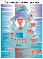 ZVR6591L ����������������� ��������