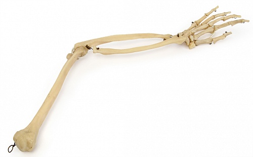 �25 �� ������ ������� ���������� ����� (���������������� ������)