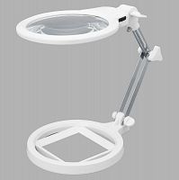 ���� ����������� 