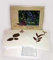 �������� "������������ ��������"(28 �����)