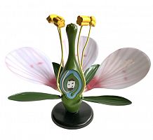 ������ ������ ������