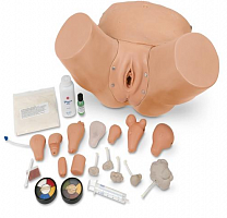 Усовершенствованный симулятор для обучения гинекологическому обследованию и обследованию области таза
