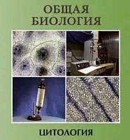 ��������-��������� (13 ����������, 34 ���)  DVD