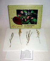 �������� "���������� ��������"(28 �����)