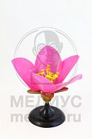 ������ ������ �������.